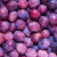 Plum Ingredient